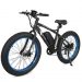 EcoTric Fat Tire Bike Review: Best Electric Bike Under $1,000